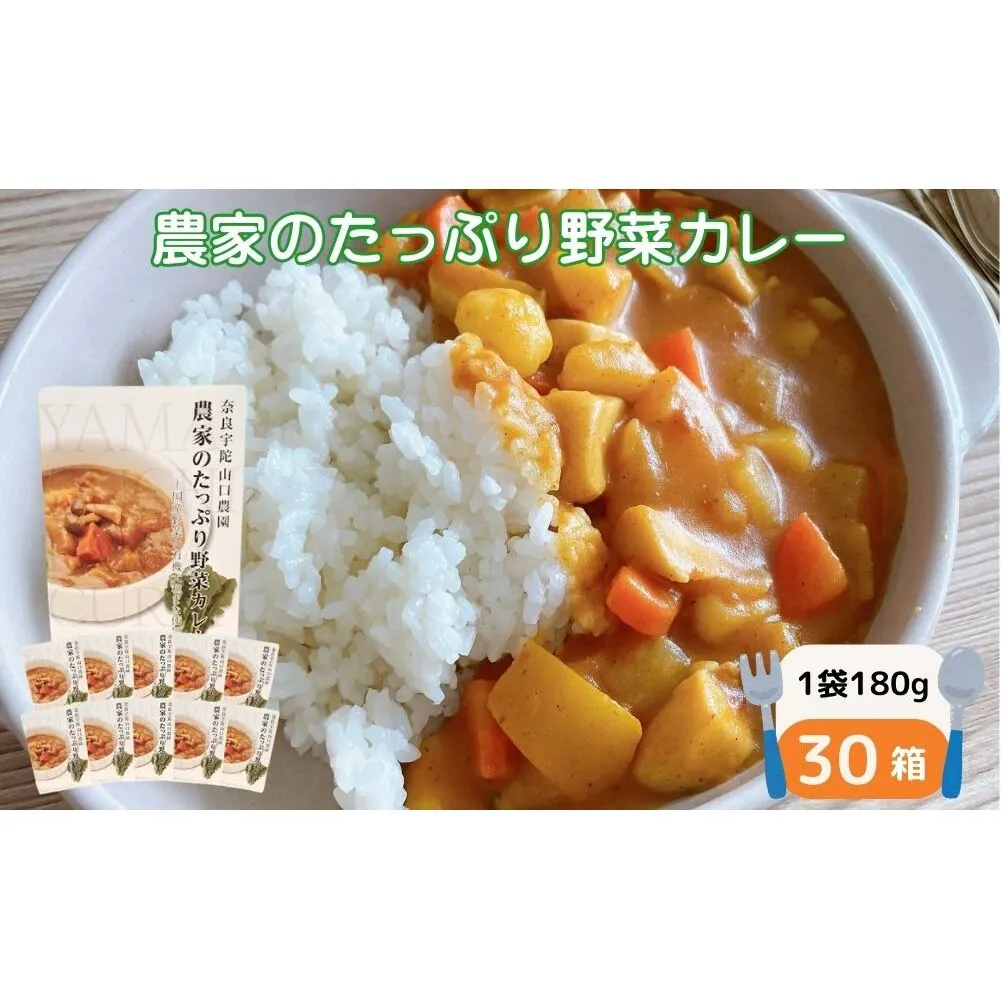 農家のたっぷり野菜カレー ３０個／山口農園 有機野菜 オーガニック 伝統野菜 レトルト 詰め合わせ カレー ギフト カレーセット スパイス 飯 キャンプお取り寄せ 奈良県 宇陀市 送料無料 おかず ご当地 簡単 お歳暮 暑中見舞い 保存 時短 国産 保存食 ふるさと納税