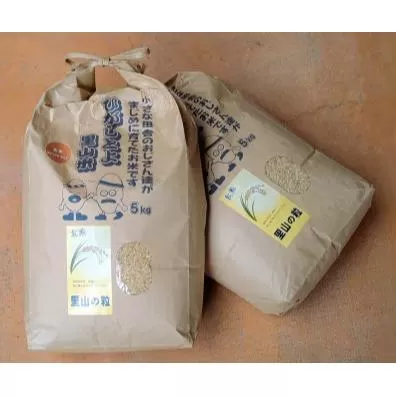 【令和8年産】ひがしとよ里山米 玄米10kg(5kg×2袋)【数量限定先行予約受付】