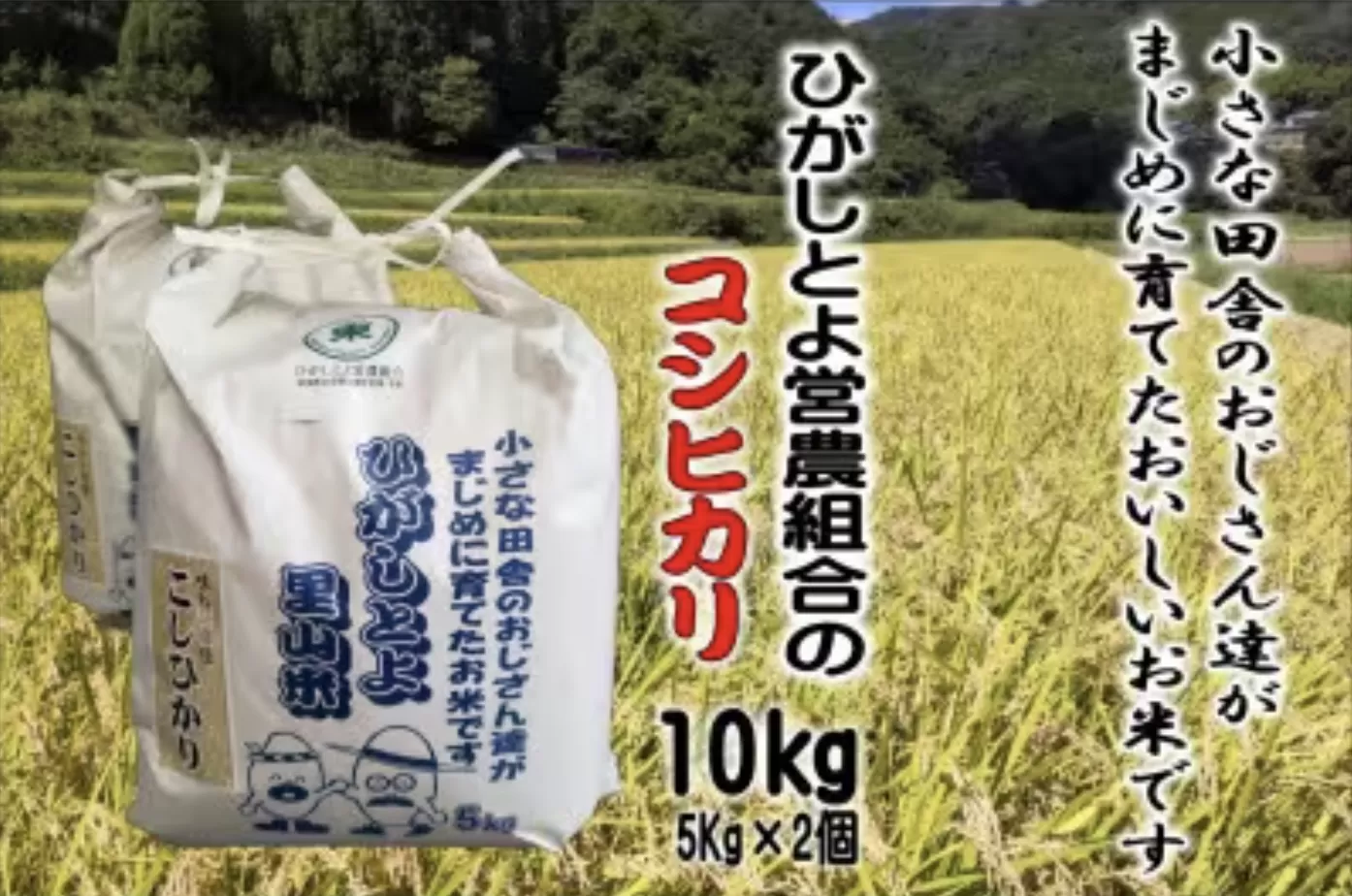 ５０個限定！小さな田舎のおじさんたちが真面目に作ったお米　ひがしとよ里山米１０kg