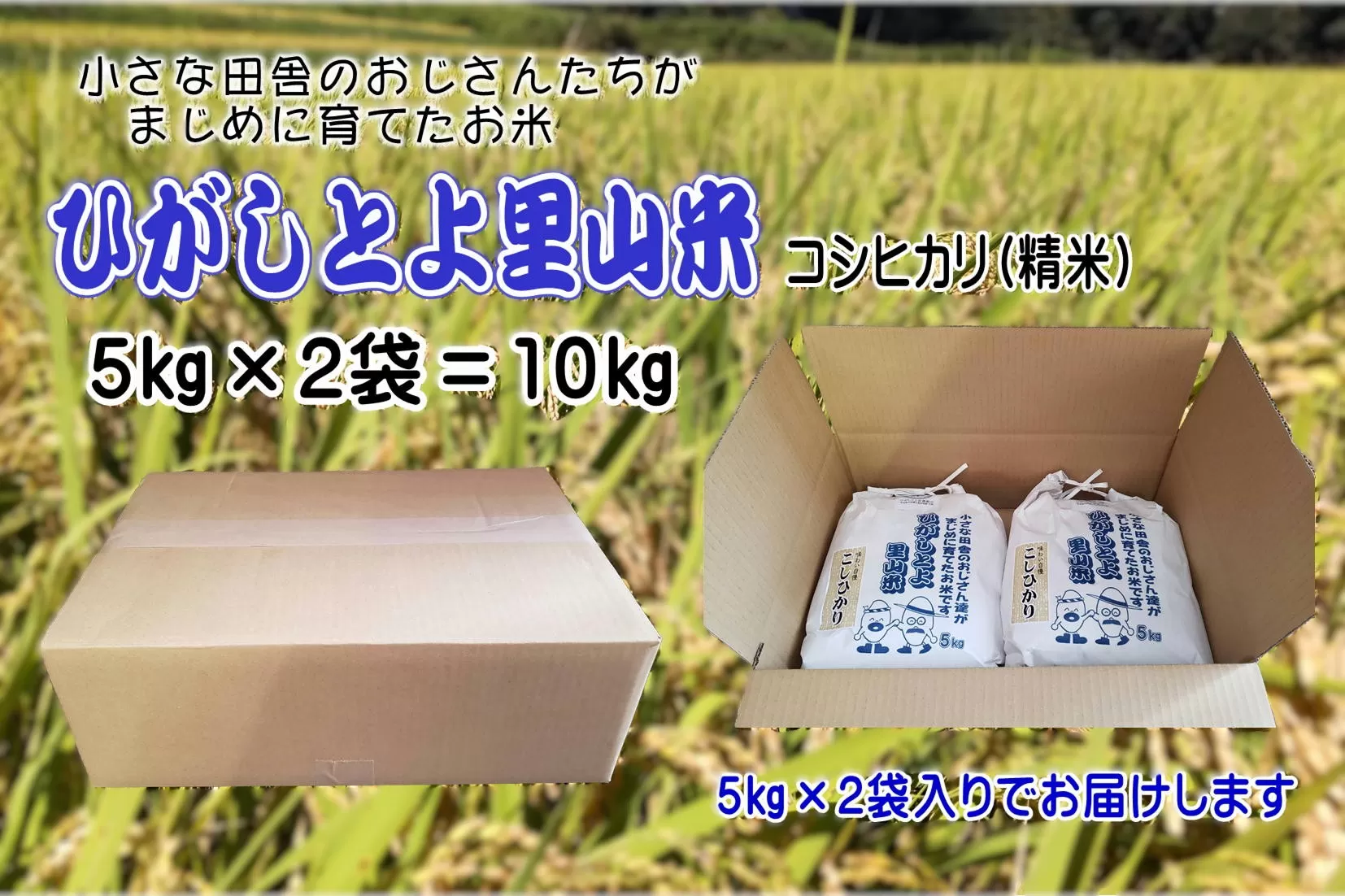 【令和7年産】ひがしとよ里山米 精米10kg(5kg×2袋)