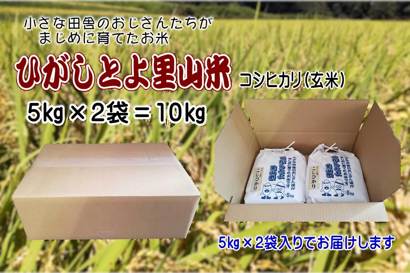 【令和7年産】ひがしとよ里山米 玄米10kg(5kg×2袋)