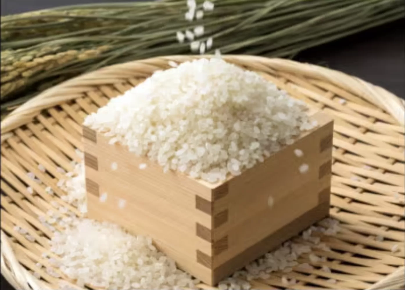 山添村産 一服米 コシヒカリ 3kg 精米
