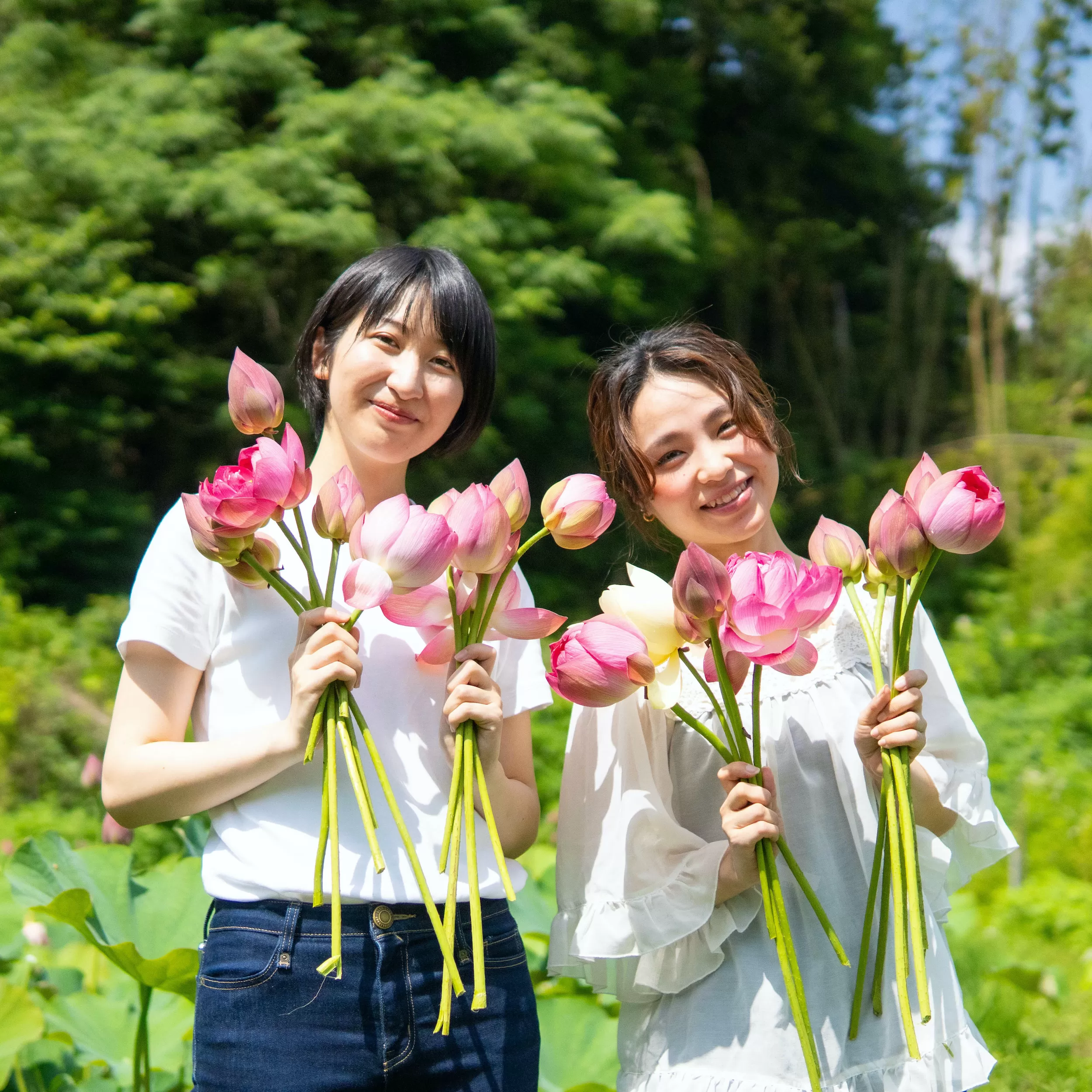 花ハス取り体験１名様