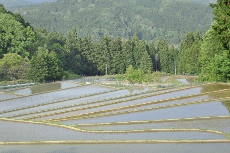 ⑥地域の環境整備・景観維持管理事業