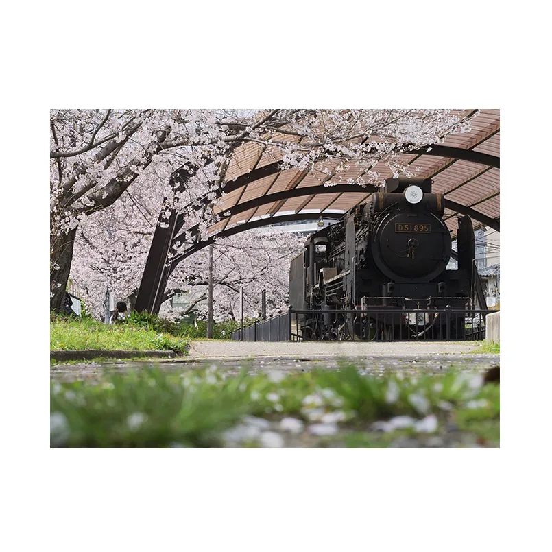 アートパネル　汽車と桜