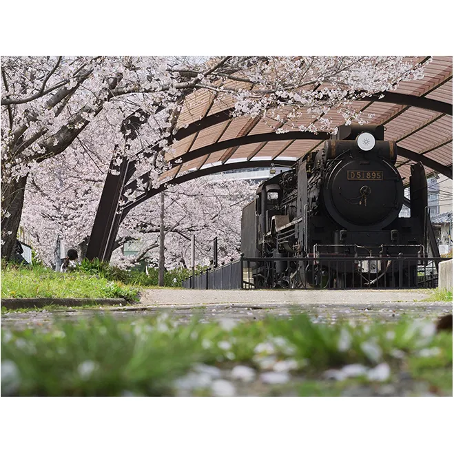 アートパネル　汽車と桜 織物 フォトグラファー 下村綱起 撮影 風景 動物 写真 厳選 作品 フェルト 生地 オリジナル インテリア プレゼント 癒し