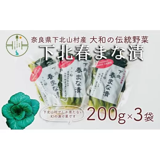 【大和伝統野菜】下北春まな漬け３袋　下北山村でしか採れない葉物野菜の漬物です