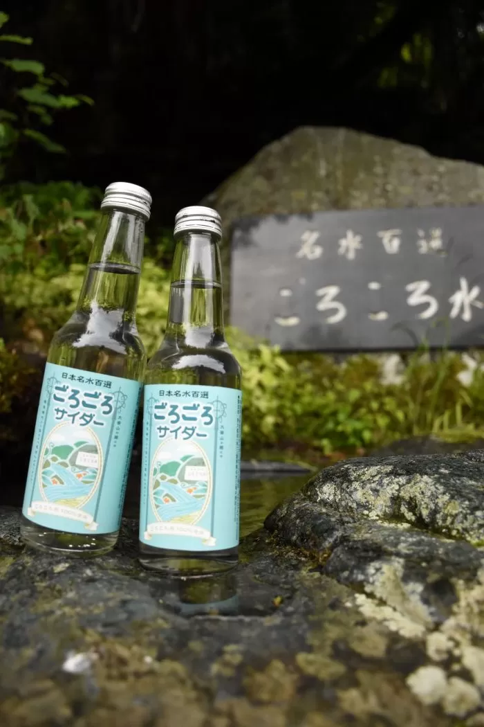 ごろごろサイダー 250ml×1箱（24本入）