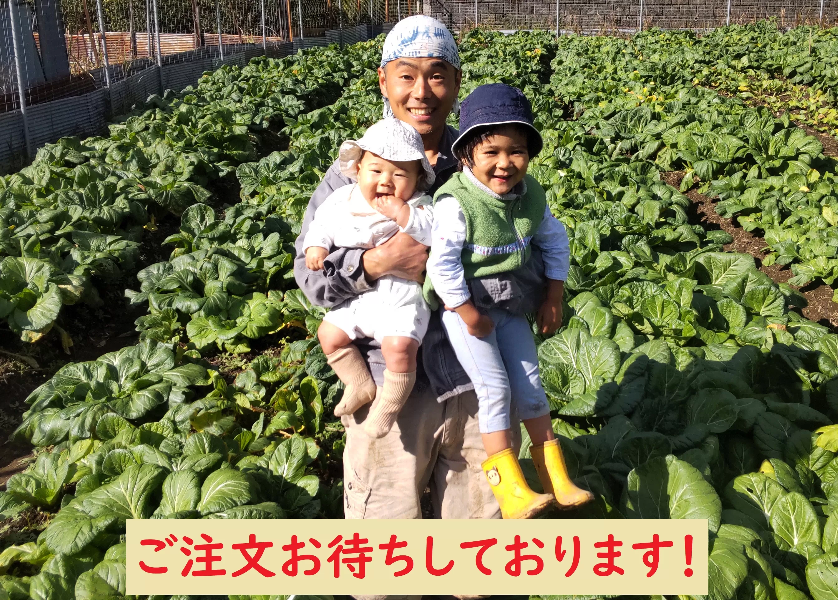 【自然栽培】大和の伝統野菜 下北春まな500g 