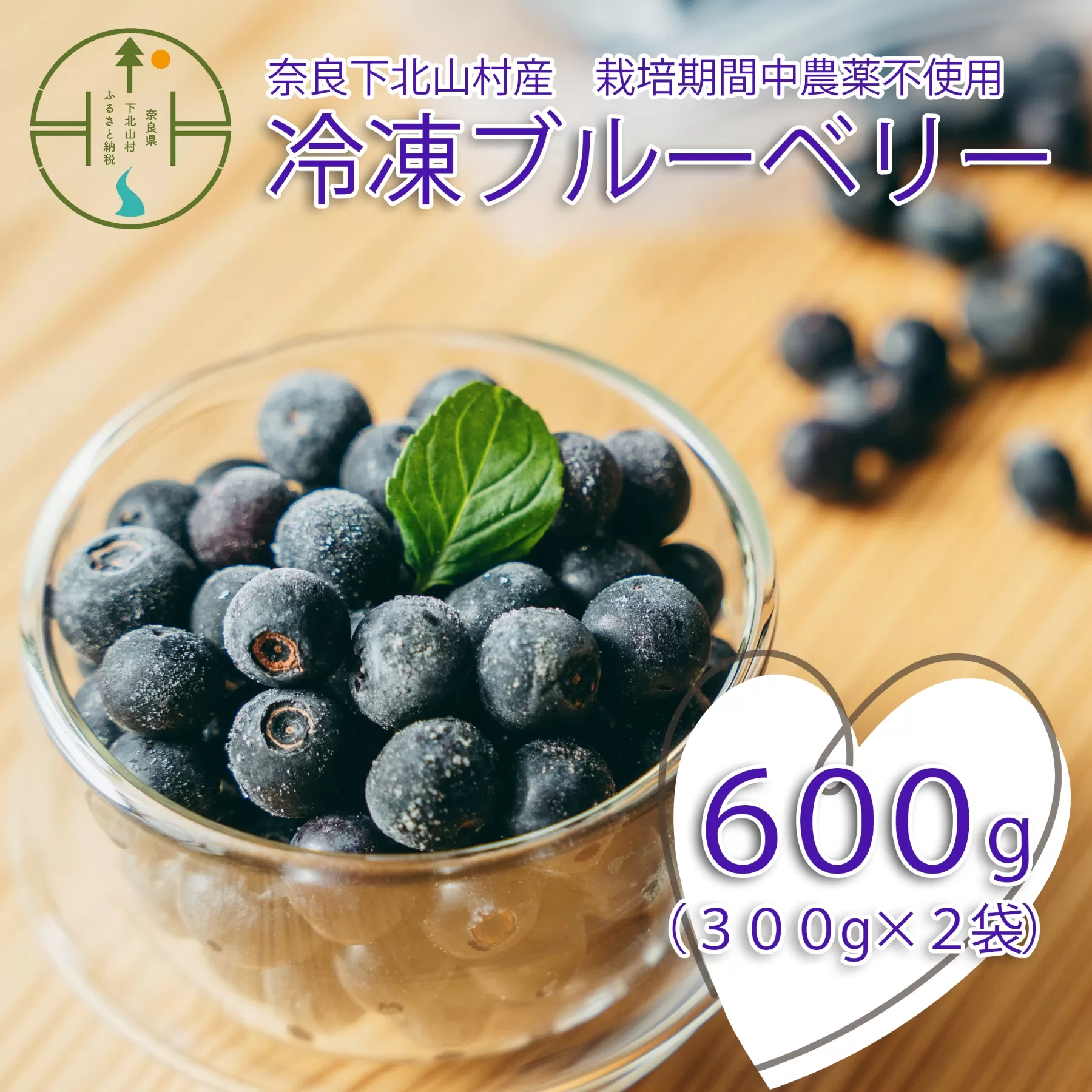 先行受付 2025年7月～発送 栽培期間中農薬不使用 としちゃんのブルーベリー 300gx2 手摘み 下北山村産
