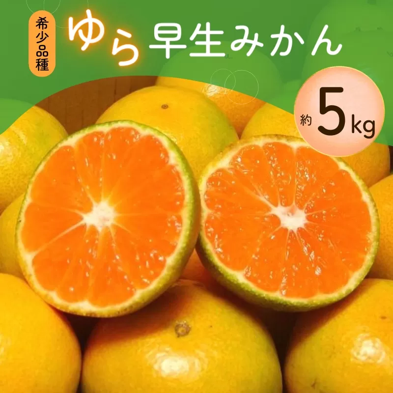 【2025年秋頃発送予約分】＼光センサー選別／ 【農家直送】甘くて濃厚！希少品種 ご家庭用 ゆら早生みかん 約5kg 有機質肥料100% サイズ混合 ※2025年10月上旬より順次発送予定（お届け日指定不可）【nuk109C】