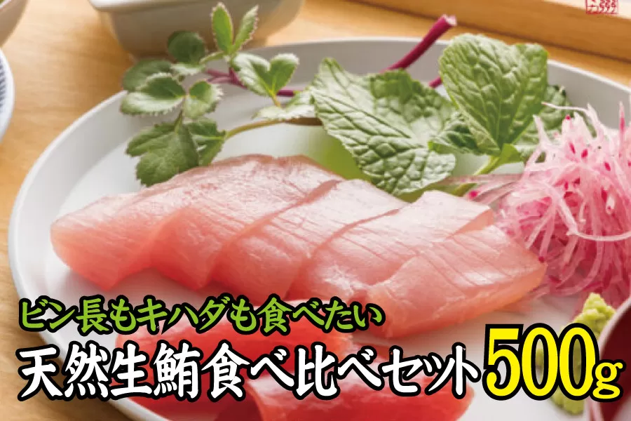 天然生まぐろ食べ比べセット 500g　キハダ（もしくはメバチ）＋びん長まぐろのセット / 生鮪 鮪 マグロ 生まぐろ キハダマグロ ビンチョウマグロ 刺身