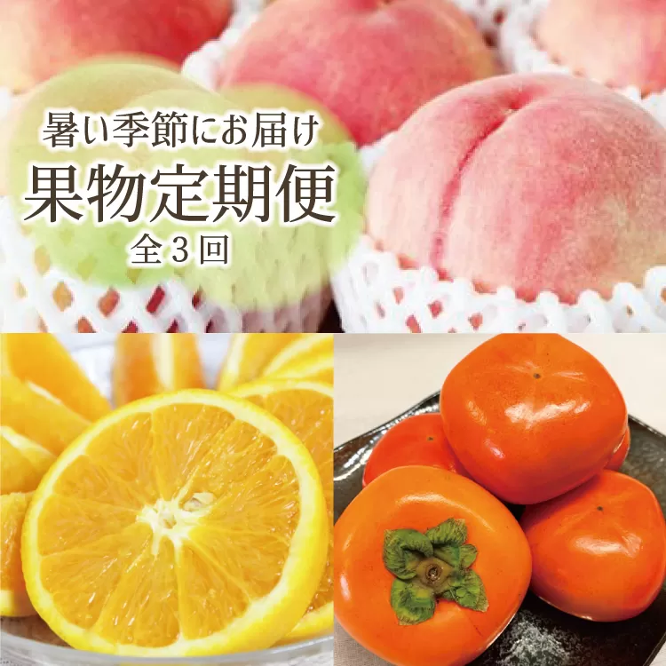 【全3回定期】暑い季節にお届け！果物定期便　バレンシアオレンジ・桃・柿　旬のフルーツをお届け♪【tkb142】