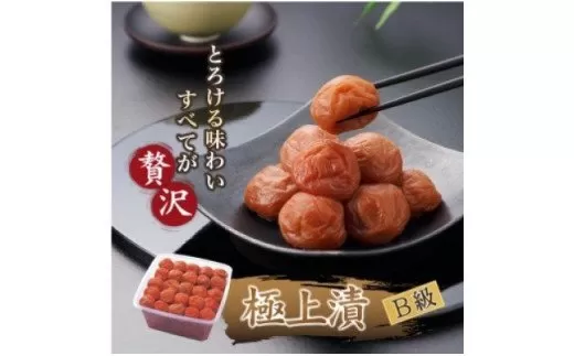 徳用　紀州極上漬1.5kg【紀の里食品】