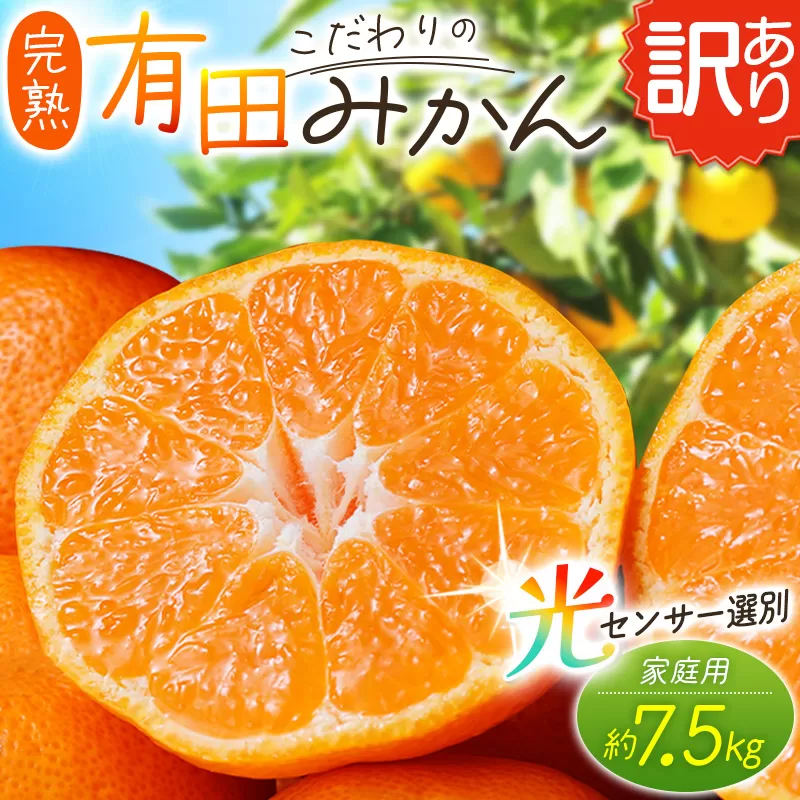 [訳あり]農家直送 有田みかん 約7.5kg ※2026年11月〜2027年1月に順次発送予定(お届け日指定不可)※北海道・沖縄・離島への配送不可[nuk157F]