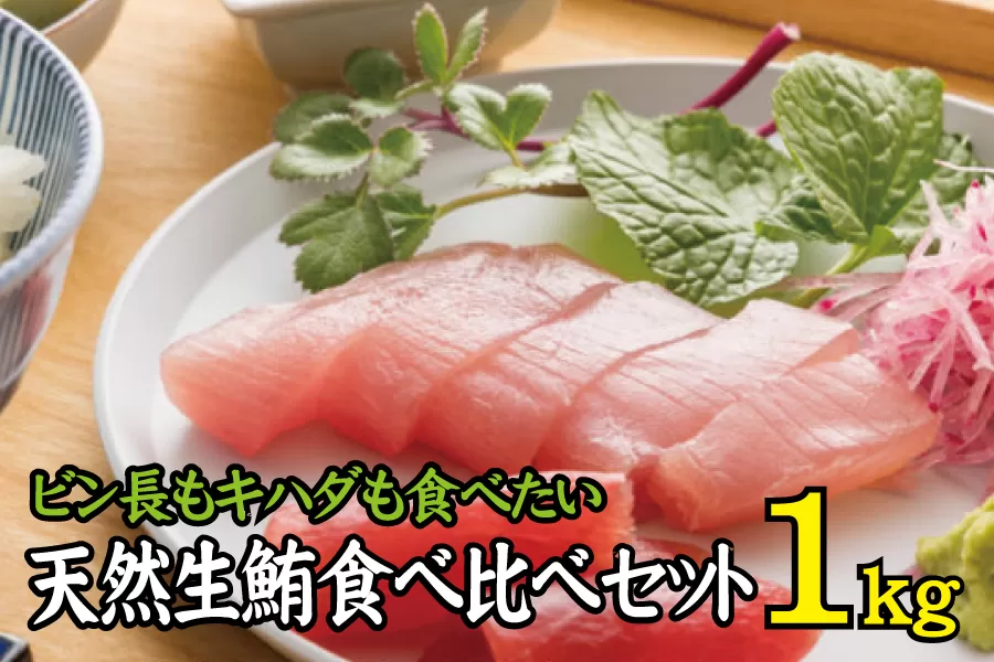 天然生まぐろ食べ比べセット 1kg　キハダ（もしくはメバチ）＋びん長まぐろのセット / 生鮪 鮪 マグロ 生まぐろ キハダマグロ ビンチョウマグロ 刺身