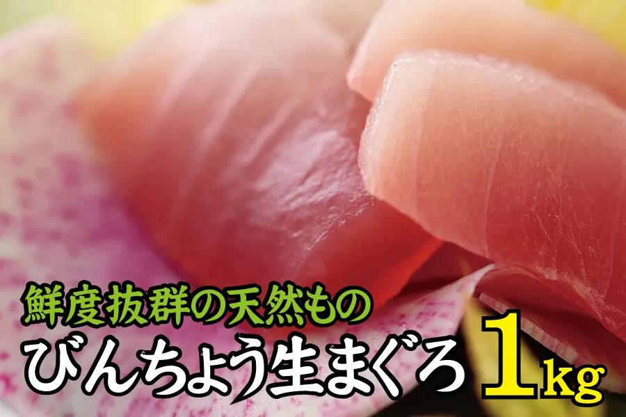 天然 びん長生マグロ 1kg 鮮度抜群の生まぐろをお届けします / 生鮪 鮪 マグロ 生まぐろ ビンチョウマグロ 刺身