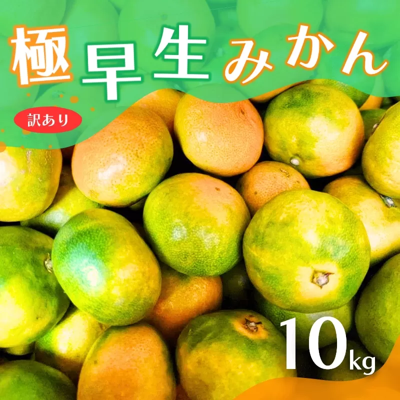 【2025年秋頃発送予約分】【訳あり】こだわりの極早生みかん 約10kg ※2025年10月上旬より順次発送予定（お届け日指定不可） 有機質肥料100% サイズ混合  有田産【nuk167A】