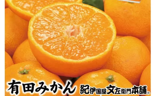 ブランド有田みかん【M】秀品10kg ／産地直送／薄皮で甘い美味しい和歌山県産／紀伊国屋文左衛門本舗　※2025年11月上旬～2026年1月中旬頃より順次発送（お届け日指定不可）