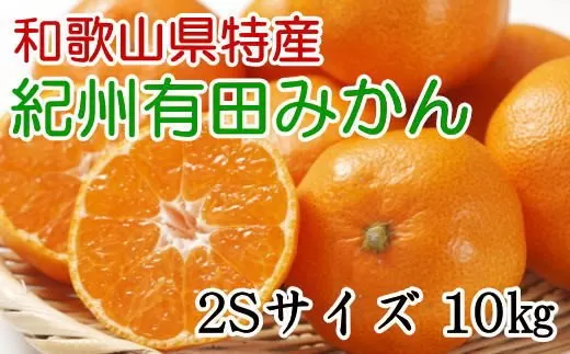 [秀品]和歌山有田みかん　約10kg(2Sサイズ)※2025年11月中旬～2026年1月中旬頃に順次発送
