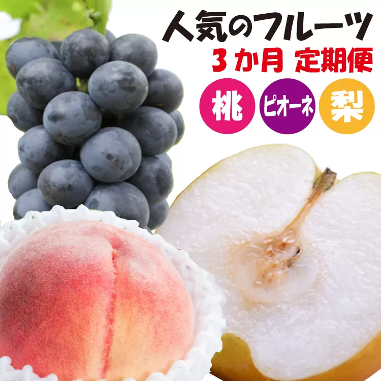 【3か月定期便】和歌山産フルーツ定期便！人気の桃・梨・ピオーネ　旬のフルーツを毎月お届け♪