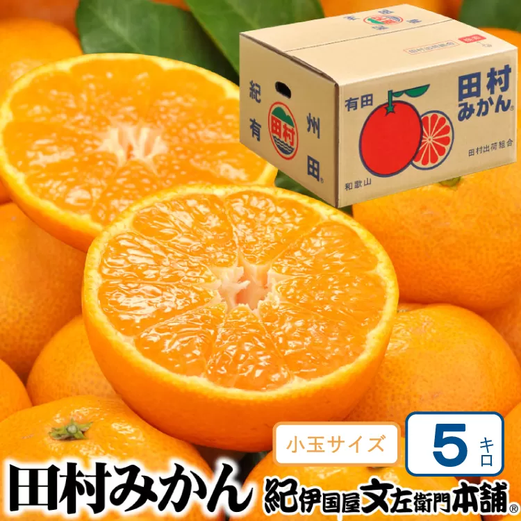 【予約受付】田村みかん 5kg 秀品【小玉サイズ】/紀州和歌山有田郡湯浅町田村地区産 ◆2025年11月下旬～2026年1月中旬頃に順次発送(お届け日指定不可)　紀伊国屋文左衛門本舗