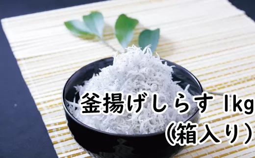 釜揚げしらす1kg（箱入り） / しらす シラス 釜揚げ 魚