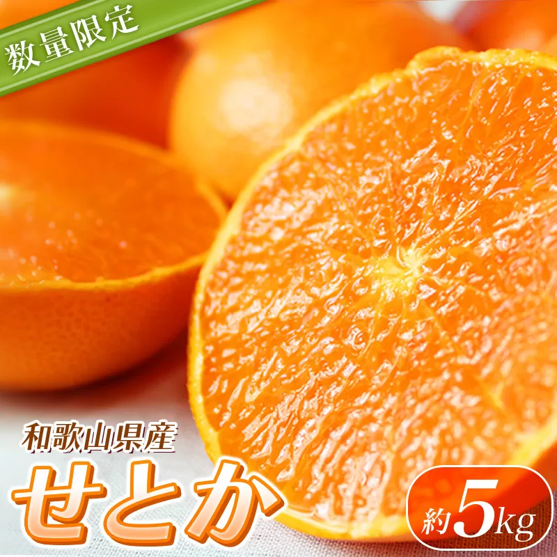 【ご家庭用訳あり】紀州和歌山産 せとか 約5kg【先行予約】※2026年2月上旬頃〜2026年3月中旬頃発送予定（お届け日指定不可） せとか みかん ミカン 柑橘 フルーツ 果物 くだもの【uot748A】