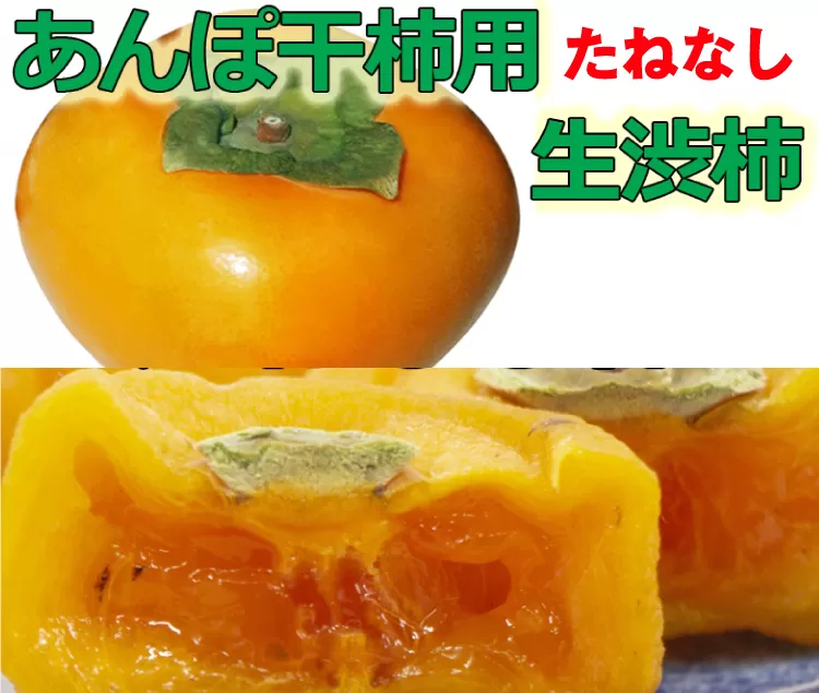 【県認定エコファーマー】あんぽ柿用生渋柿（平たねなし柿） 約14.5〜15kg（約50〜90玉）-AP＜10月下旬から順次発送＞【art002A】