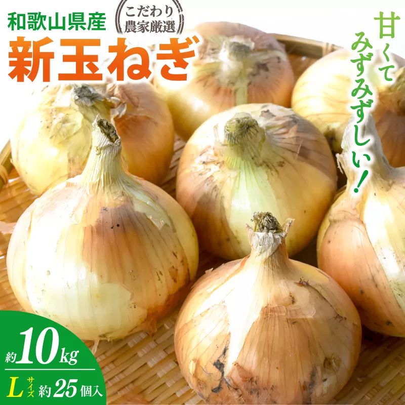  和歌山県産新玉ねぎ約10kg　Lサイズ 約25個入り　こだわり農家厳選！【2026年4月末頃～6月中旬に発送予定】人気 おすすめ たまねぎ 玉ねぎ 玉葱 タマネギ オニオン スープ サラダ 国産 野菜 新鮮 ビッグサイズ 大きい BBQ【kgr033】 