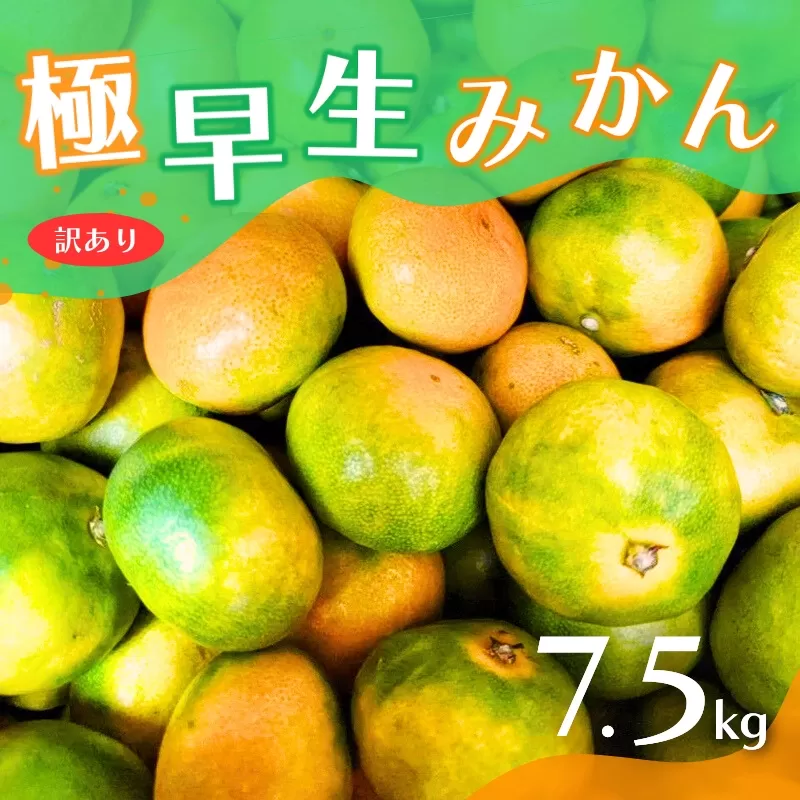 【2025年秋頃発送予約分】【訳あり】こだわりの極早生みかん 約7.5kg ※2025年10月上旬より順次発送予定（お届け日指定不可） 有機質肥料100% サイズ混合  有田産【nuk166A】