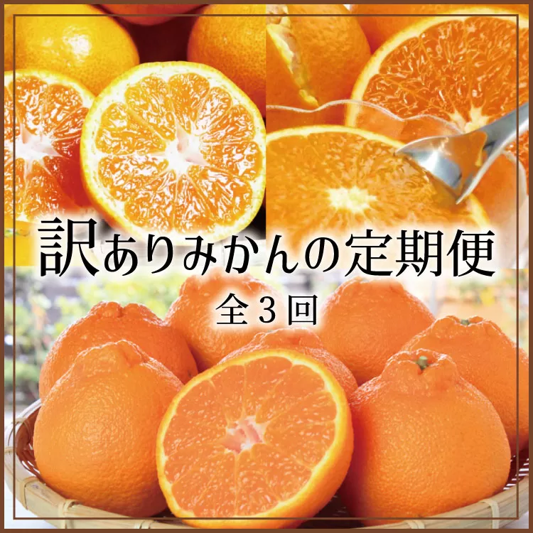 【3か月定期便】たっぷり届く♪訳ありみかんの定期便　温州みかん・不知火・清見オレンジ