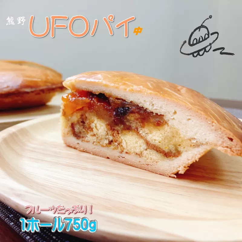 フルーツたっぷり 南海堂のUFOパイ 中 / パイ ケーキ カステラ
