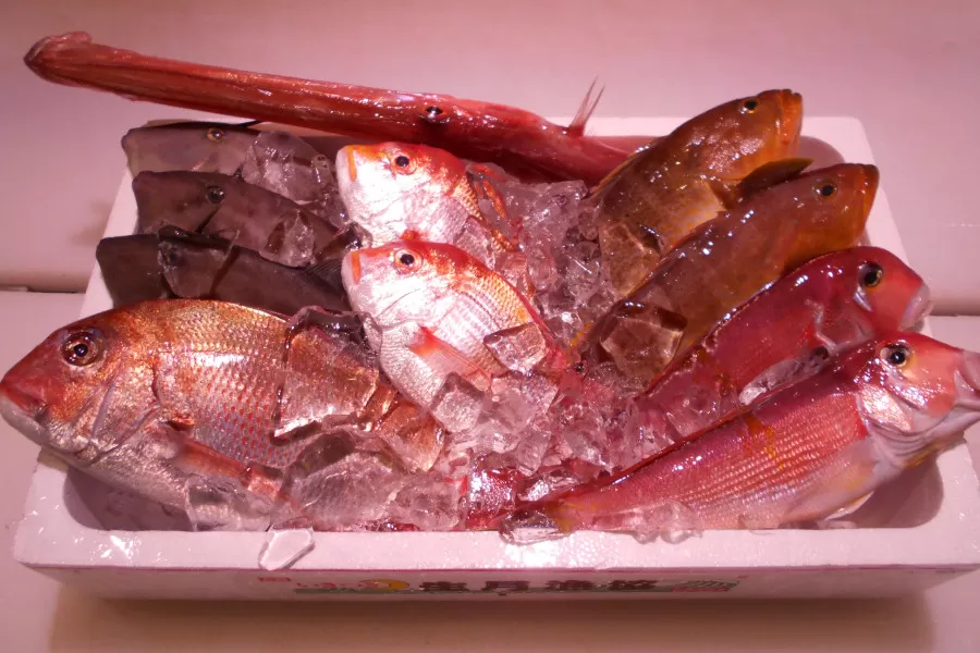 ＼朝どれ新鮮／ 鮮魚セット (大) 約4～5kg前後  目利きのプロが厳選した旬の魚をその日の内に発送！
