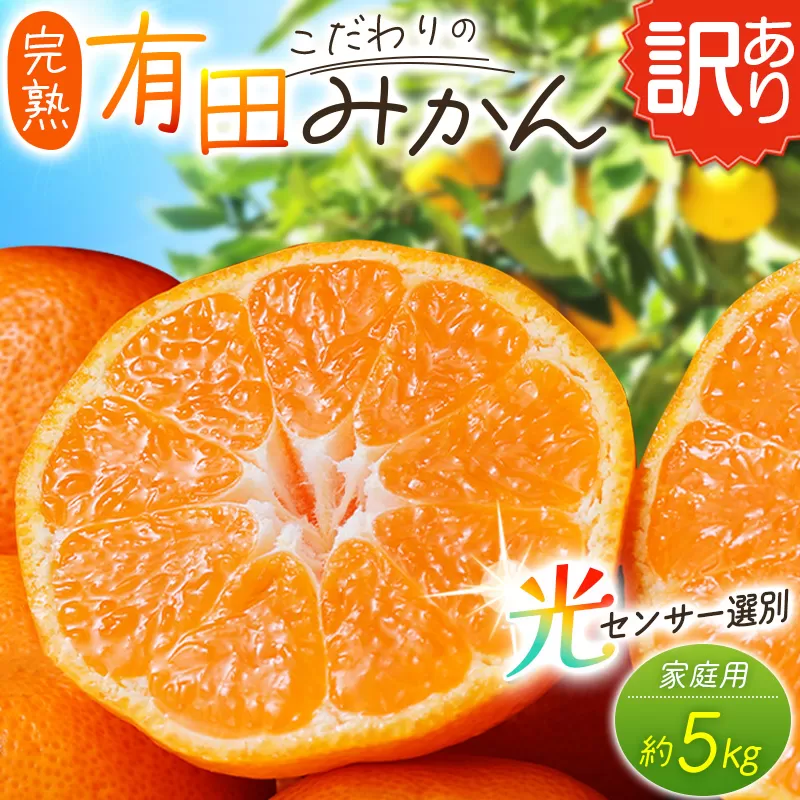 [訳あり]農家直送 有田みかん 約5kg ※2026年11月〜2027年1月に順次発送予定 (お届け日指定不可)※北海道・沖縄・離島への配送不可 訳ありみかん みかん ミカン 蜜柑 柑橘 フルーツ 果物 くだもの 温州みかんサイズ混合 訳ありみかん 温州みかん 有機質肥料100% ふるさと納税 柑橘 有田 産地直送[nuk161E]