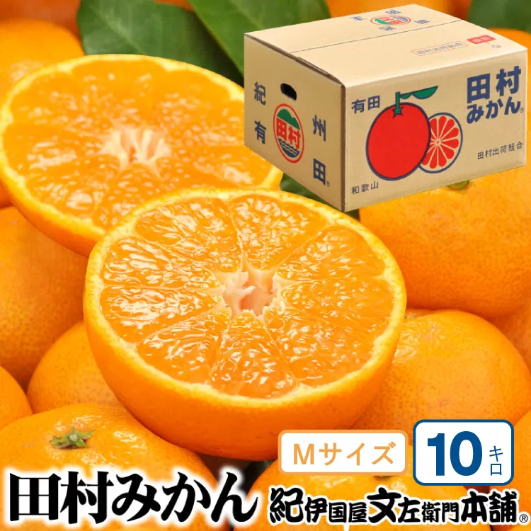 田村みかん 特選ギフト品 10kg【Mサイズ】赤秀/紀州和歌山有田郡湯浅町田村地区産 ◆2025年11月下旬～2026年1月中旬頃に順次発送(お届け日指定不可)　紀伊国屋文左衛門本舗