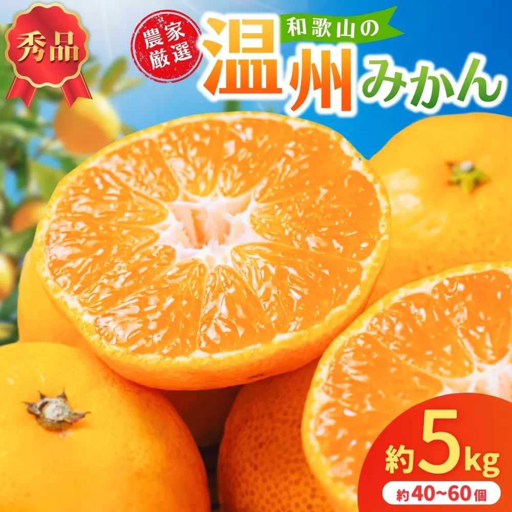 和歌山県産温州みかん　秀品　約5kg（約40個～60個入）【先行予約】【2025年11月初旬頃から2026年1月中旬頃順次発送予定】 | みかん フルーツ 果物 柑橘 和歌山【kgr032】