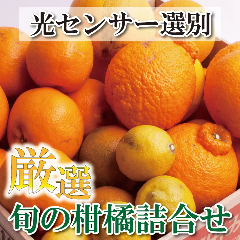 家庭用 柑橘詰合せ2kg+60g（傷み補償分）【訳あり・わけあり】【有田の春みかん詰め合わせ・フルーツ詰め合せ・オレンジつめあわせ】【光センサー選別】【ikd184】