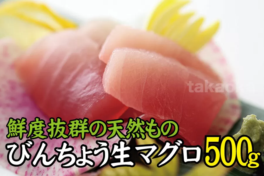 天然 びん長生マグロ 500g 鮮度抜群の生まぐろをお届けします / 生鮪 鮪 マグロ 生まぐろ ビンチョウマグロ 刺身