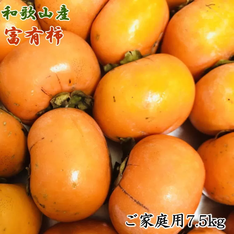 和歌山産富有柿ご家庭用約7.5kg※2025年11月上旬～2025年12月上旬頃に順次発送