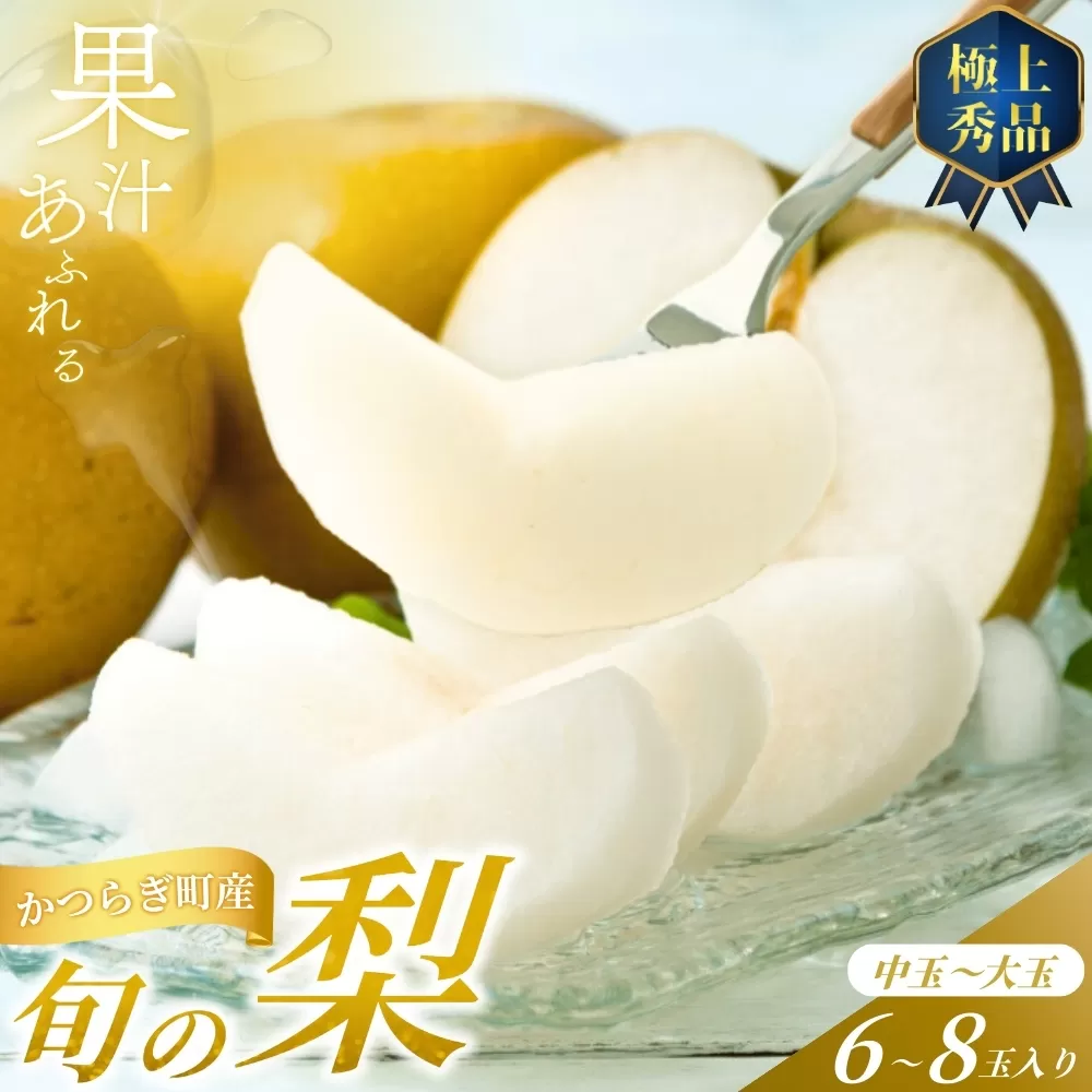 【先行予約】旬の梨(幸水ー豊水ーあきづき) 極上秀品（中玉～大玉）6～8個入り 2025年8月下旬～2025年9月下旬頃に順次発送予定（お届け日指定不可）/ 和歌山 梨 フルーツ 果物 くだもの【kgr015】 