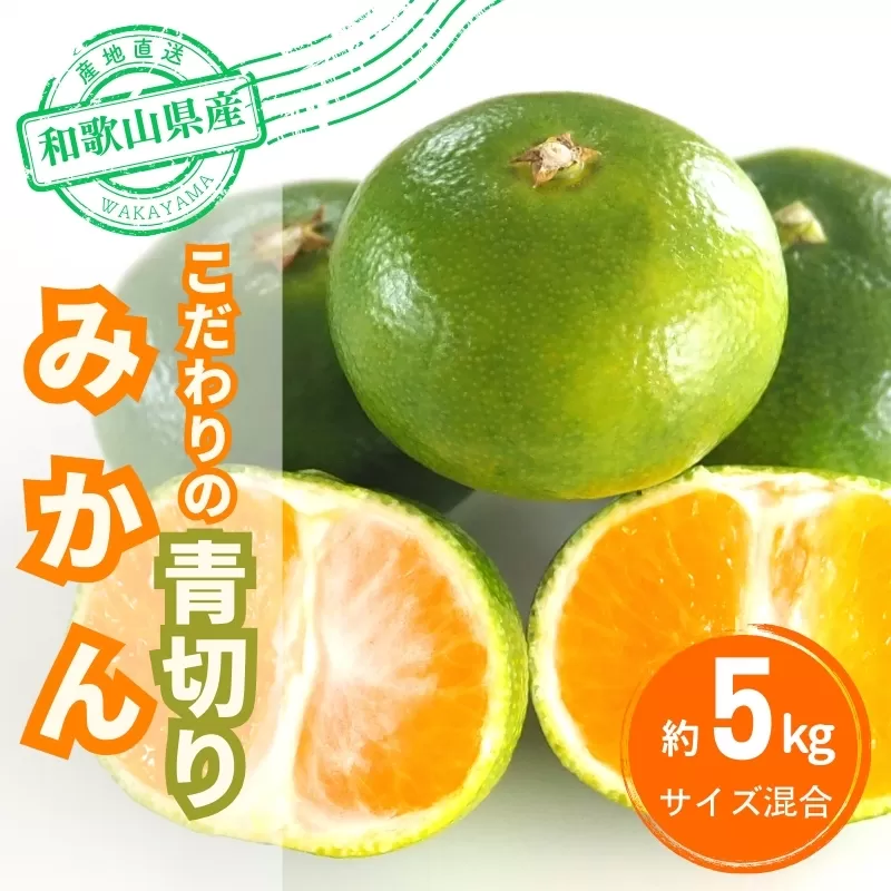 【2025年秋頃発送予約分】こだわりの青切りみかん　約5kg 有機質肥料100%　 サイズ混合　※2025年9月下旬より順次発送予定（お届け日指定不可）【nuk150B】