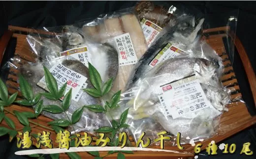 和歌山の近海でとれた新鮮魚の梅塩干物と湯浅醤油みりん干し6品種10尾入りの詰め合わせ