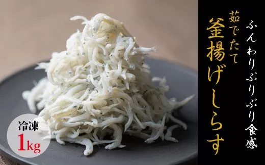 茹でたて釜揚げしらす　1kg箱入り【冷凍】無添加・無着色 しらす シラス 釜揚げ 冷凍