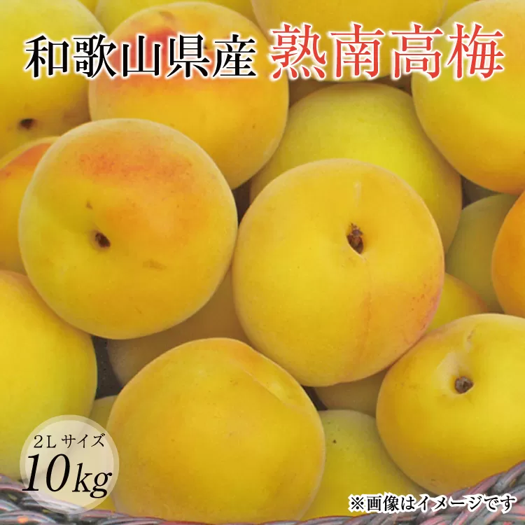 【梅干・梅酒用】（2LまたはL−10Kg）熟南高梅＜2026年6月上旬〜7月上旬ごろに順次発送予定＞