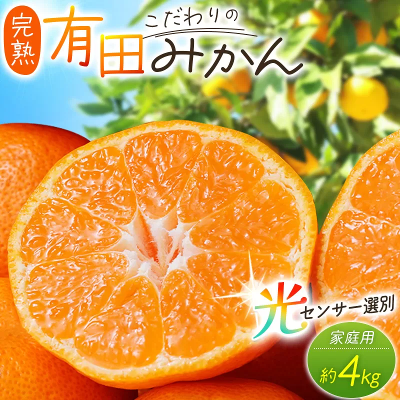 [2027年1月発送予約分][農家直送][家庭用]こだわりの有田みかん 約4kg+150g(傷み補償分) 有機質肥料100% サイズ混合 [1月発送]