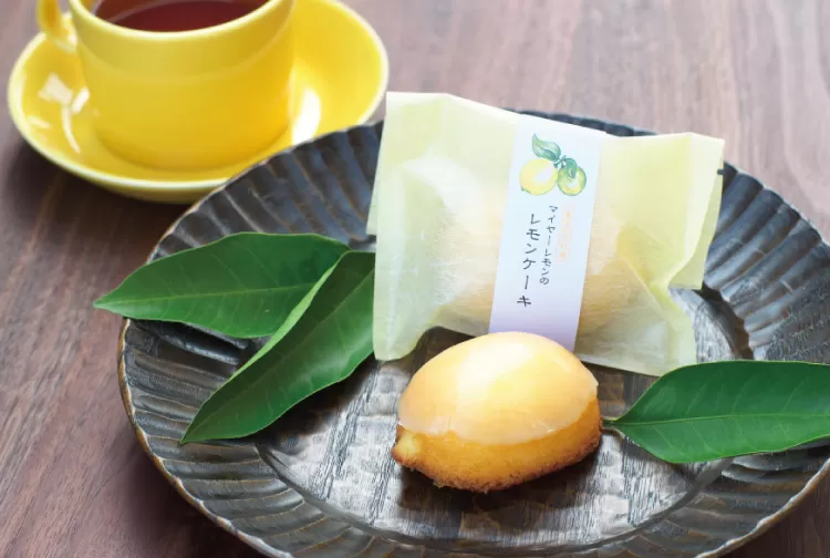 レモンケーキ 12個入り 爽やかな香り！マイヤーレモン使用 スイーツ 菓子 お菓子 ギフト【fks110A】