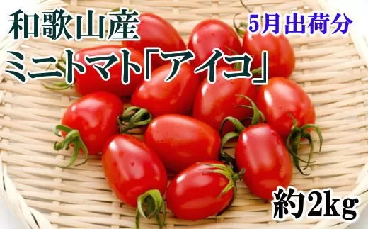 【5月出荷分】和歌山産ミニトマト「アイコトマト」約2kg（S・Mサイズおまかせ）