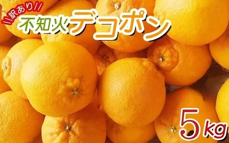 ＼光センサー選別／ 【訳あり】ちょこっと訳あり不知火デコポン 約5kg【ご家庭用】 先行予約 訳あり デコポン みかん ※2026年2月中旬～順次発送予定（お届け日指定不可）【nuk120D】