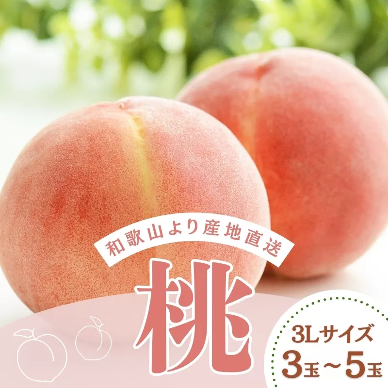 和歌山県産の桃 3Lサイズ(3玉〜5玉)[2025年6月中旬頃から8月上旬頃順次発送予定] | 和歌山 もも 桃 甘い ギフト 贈り物 プレゼント 夏ギフト 果物 フルーツ 人気 産地直送 和歌山県 お取り寄せ[mat109]